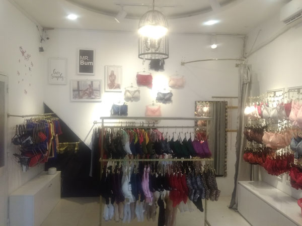 Sang shop Nội Y Đồ thiết Kế Góc 2 Mặt tiền Đường Hoa Lan, Phú Nhuận.