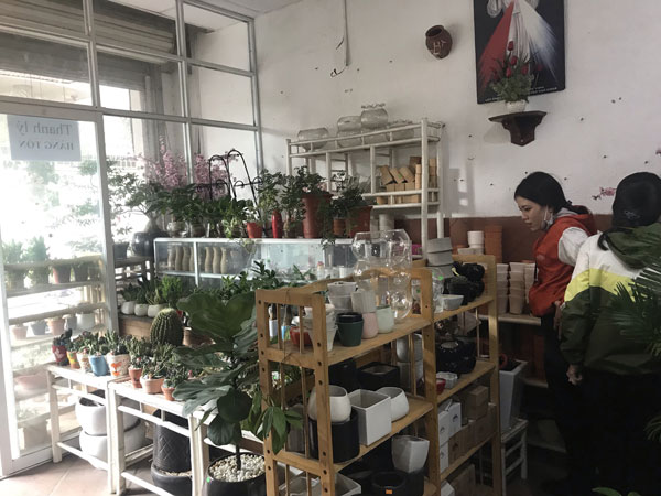 Sang shop Mộc Cây Xinh