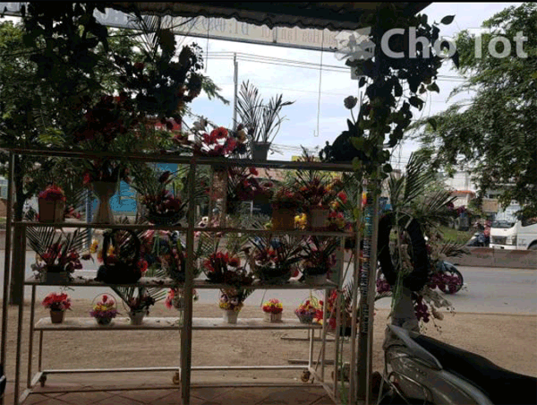 Sang shop hoa tươi GIA ĐÌNH mặt tiền đường Trần Văn Giàu,  Bình Chánh.