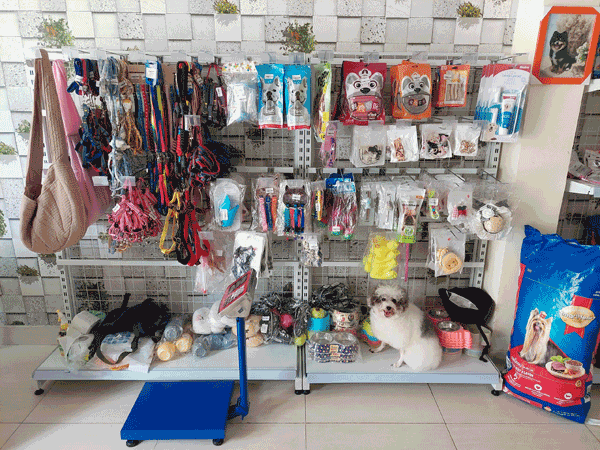 Cần sang nhượng lại mặt bằng và toàn bộ pet shop