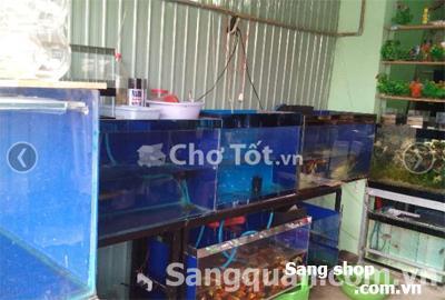 Sang shop Cá cảnh Quận Thủ Đức